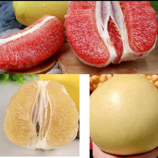 福建蜜柚工厂直销