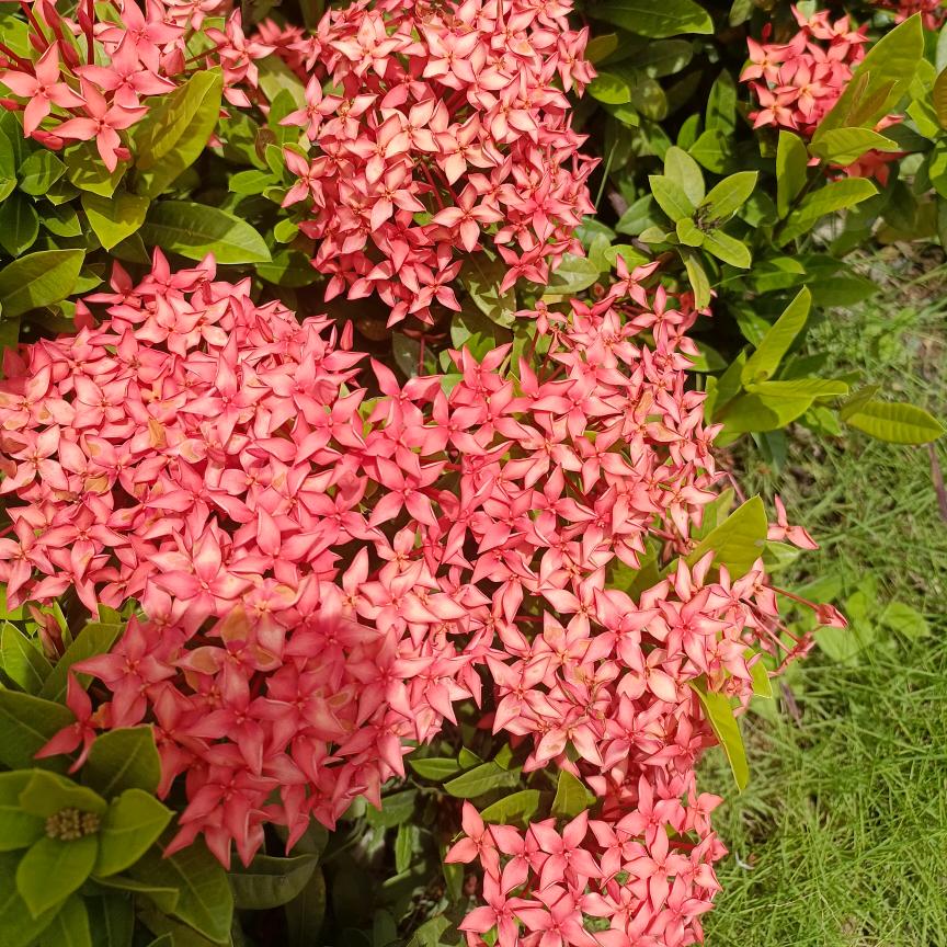 @我真的不明白^O^