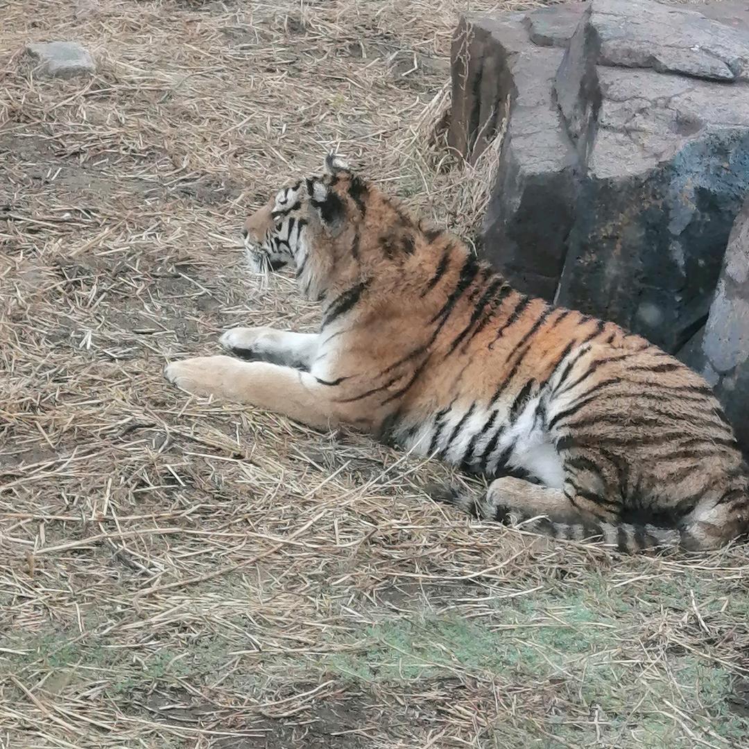 陈晨