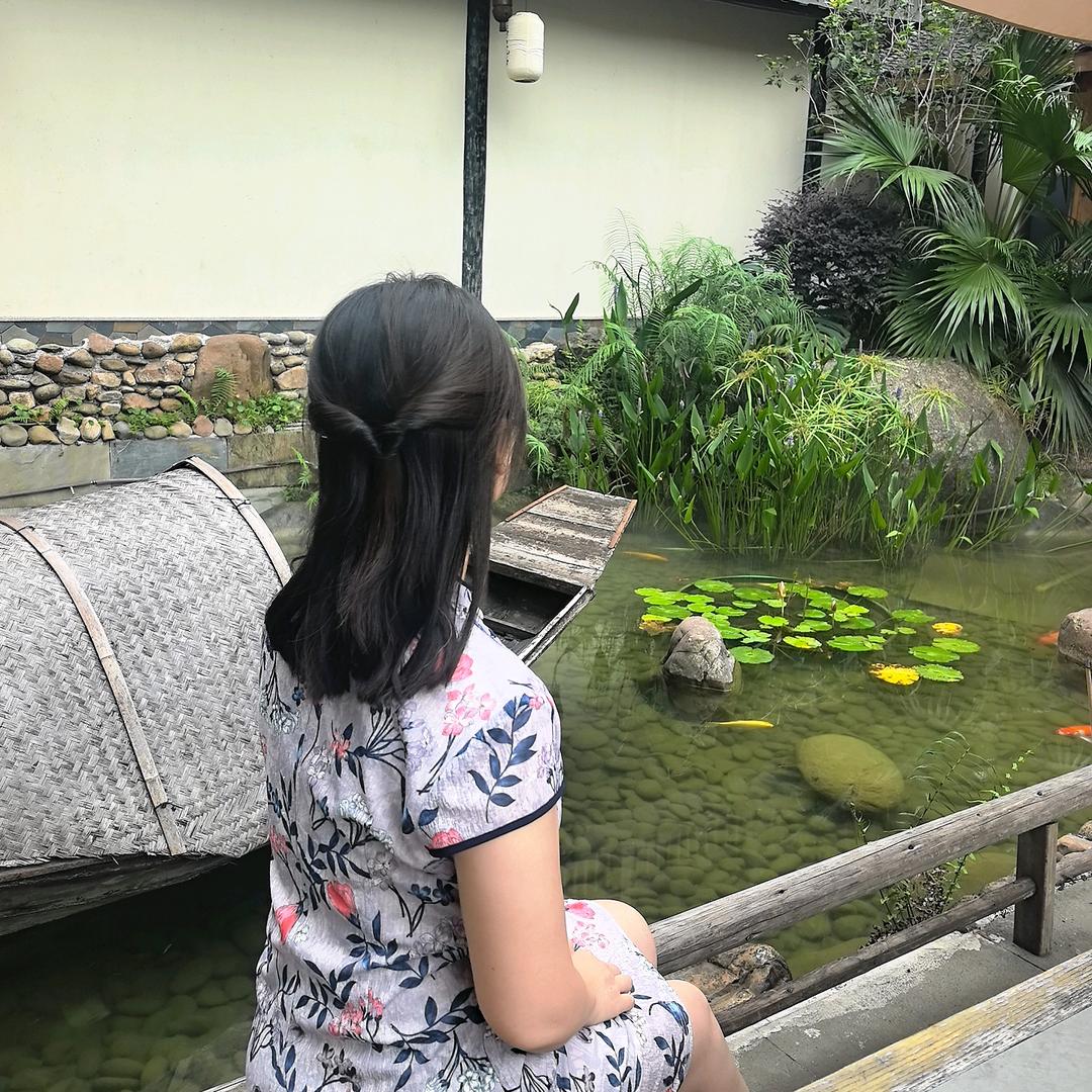 猫咪的夏天