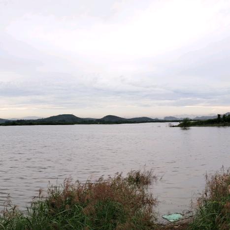 ♀橘子味的猫...