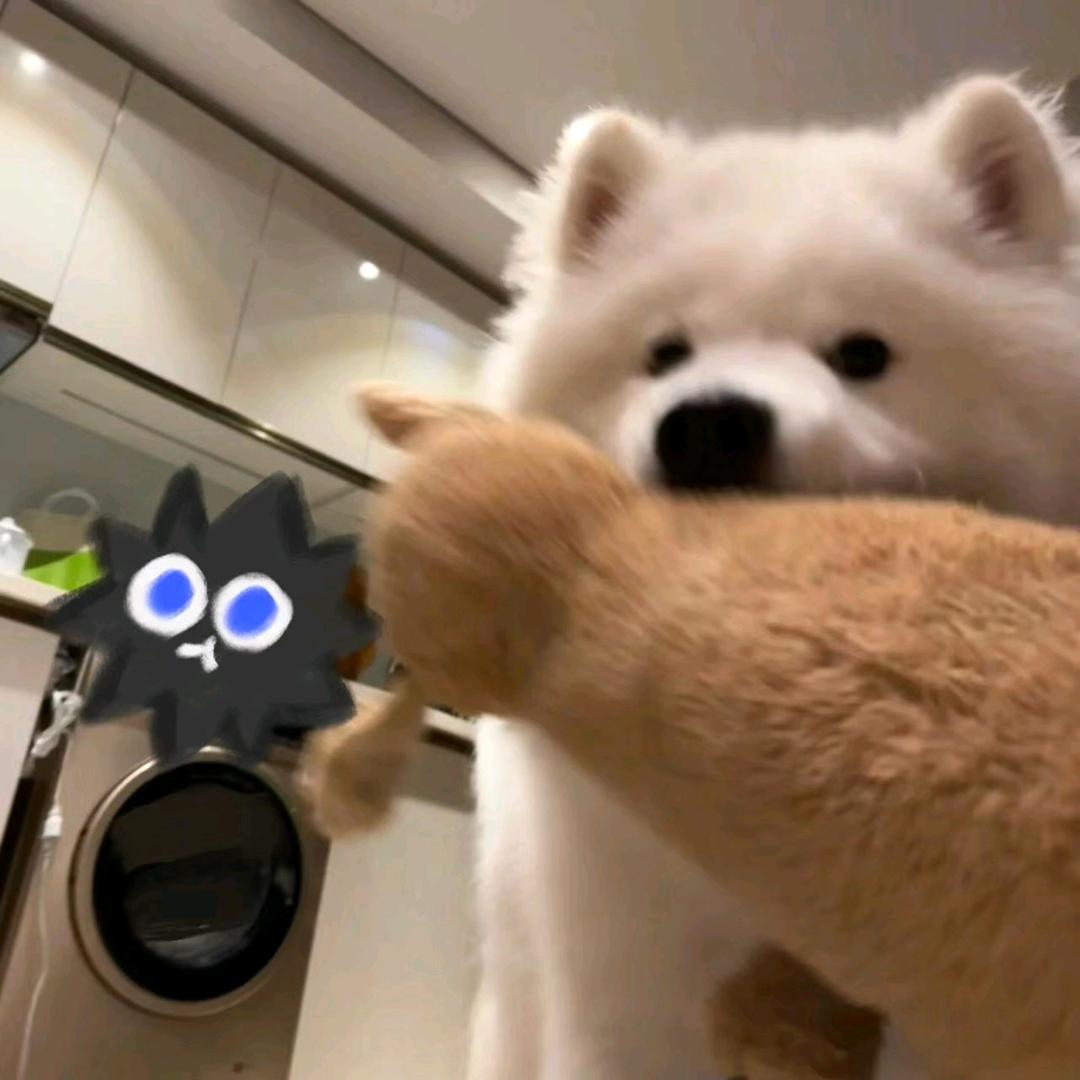 懒羊羊爱吃灰太狼