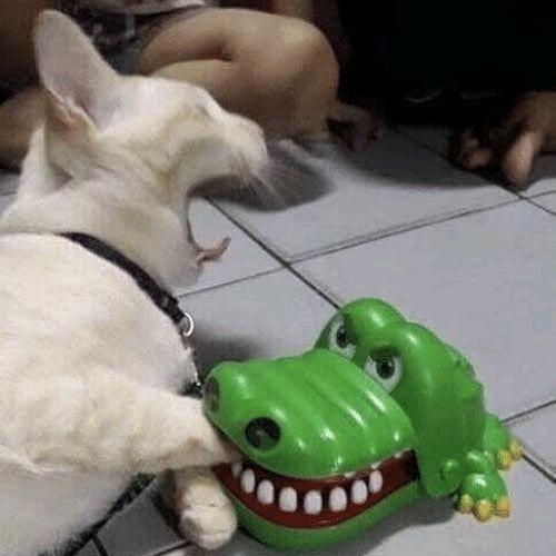 许清