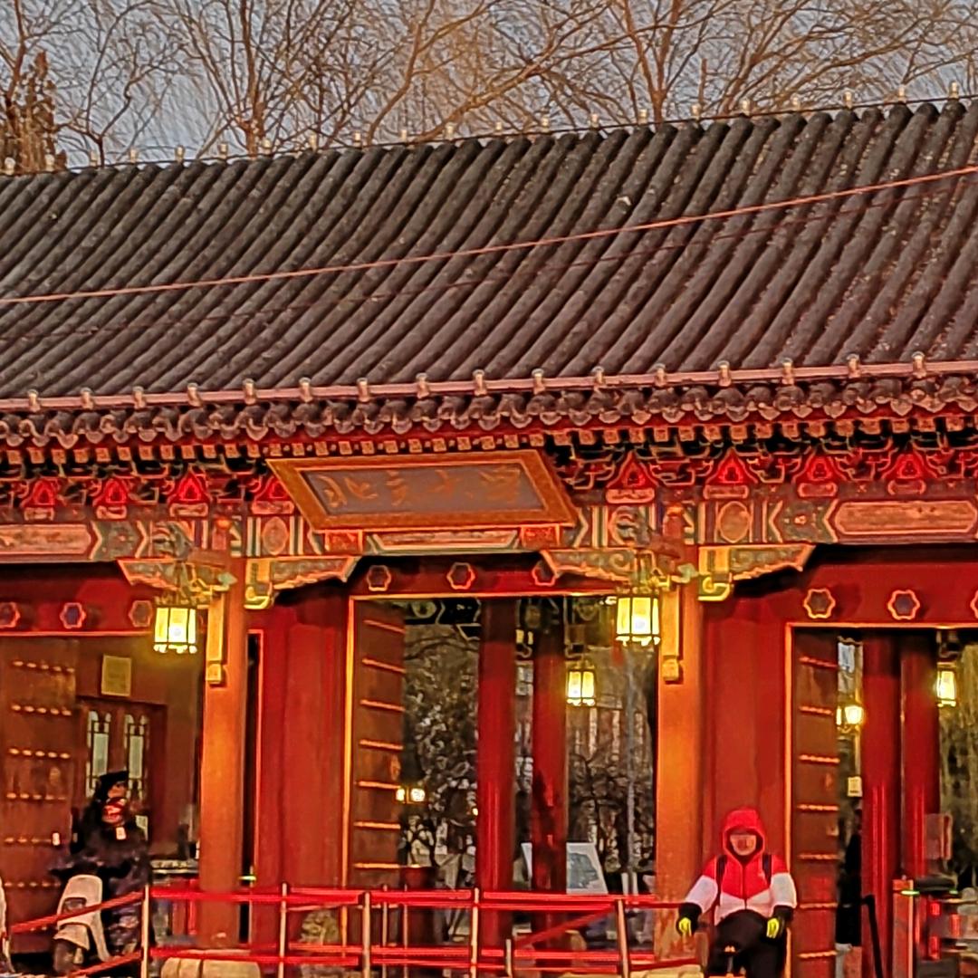 林愿愿