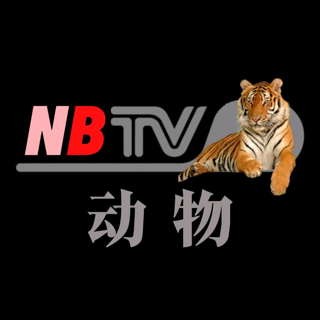 大自然探长