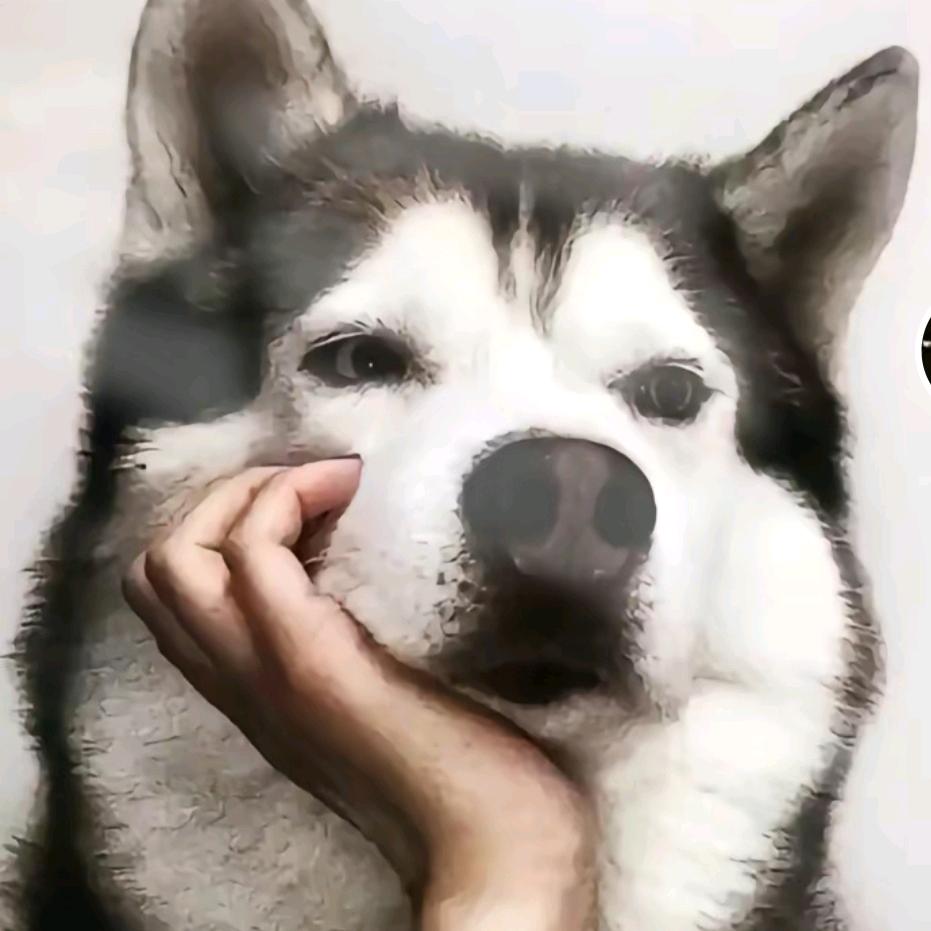 🌈金子