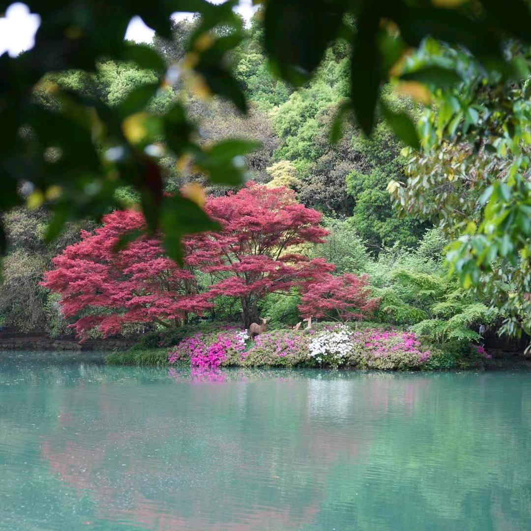 钰杰杰