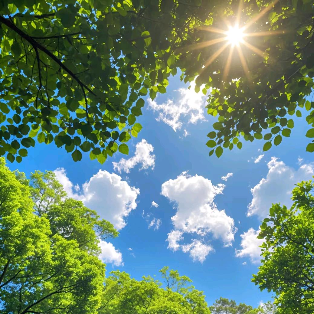 新一代养殖碎菜机