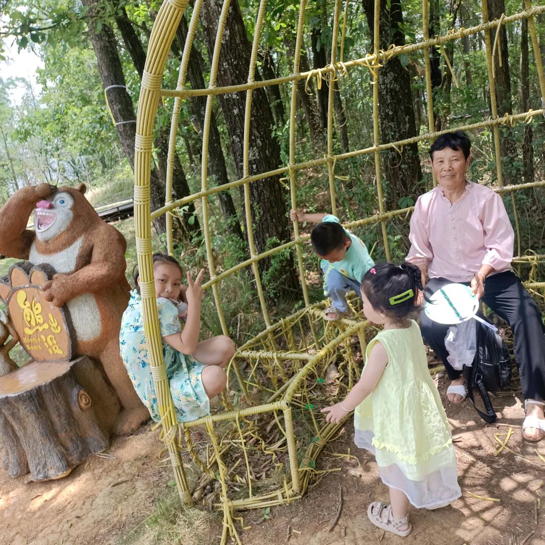 张定飞