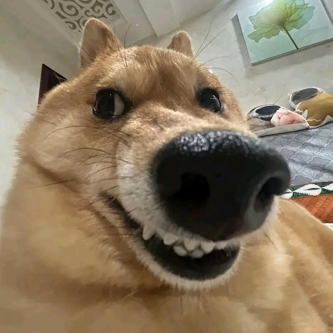 刚刚醒