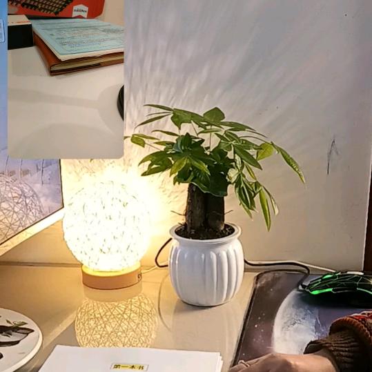 刘雅焯直播36号