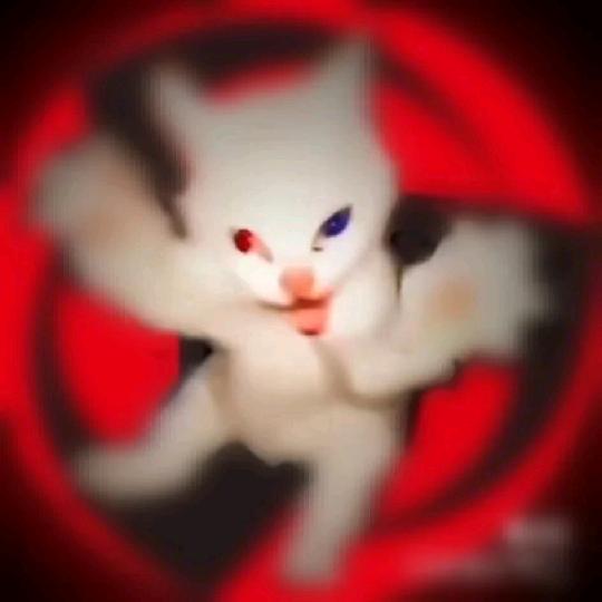 爱吃可可的克克里斯