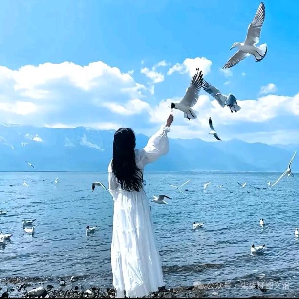 摆烂的米婷