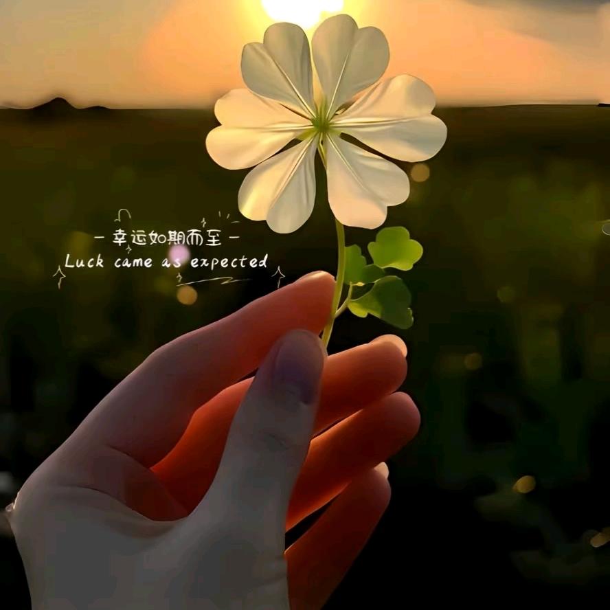 寒晶