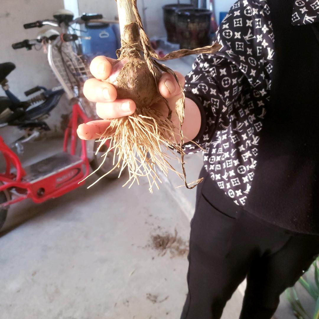 心情愉快