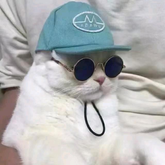 搞笑哥