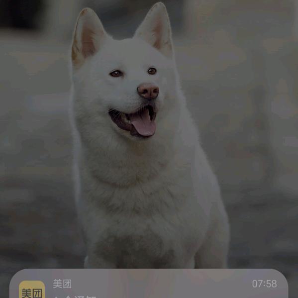 8零后