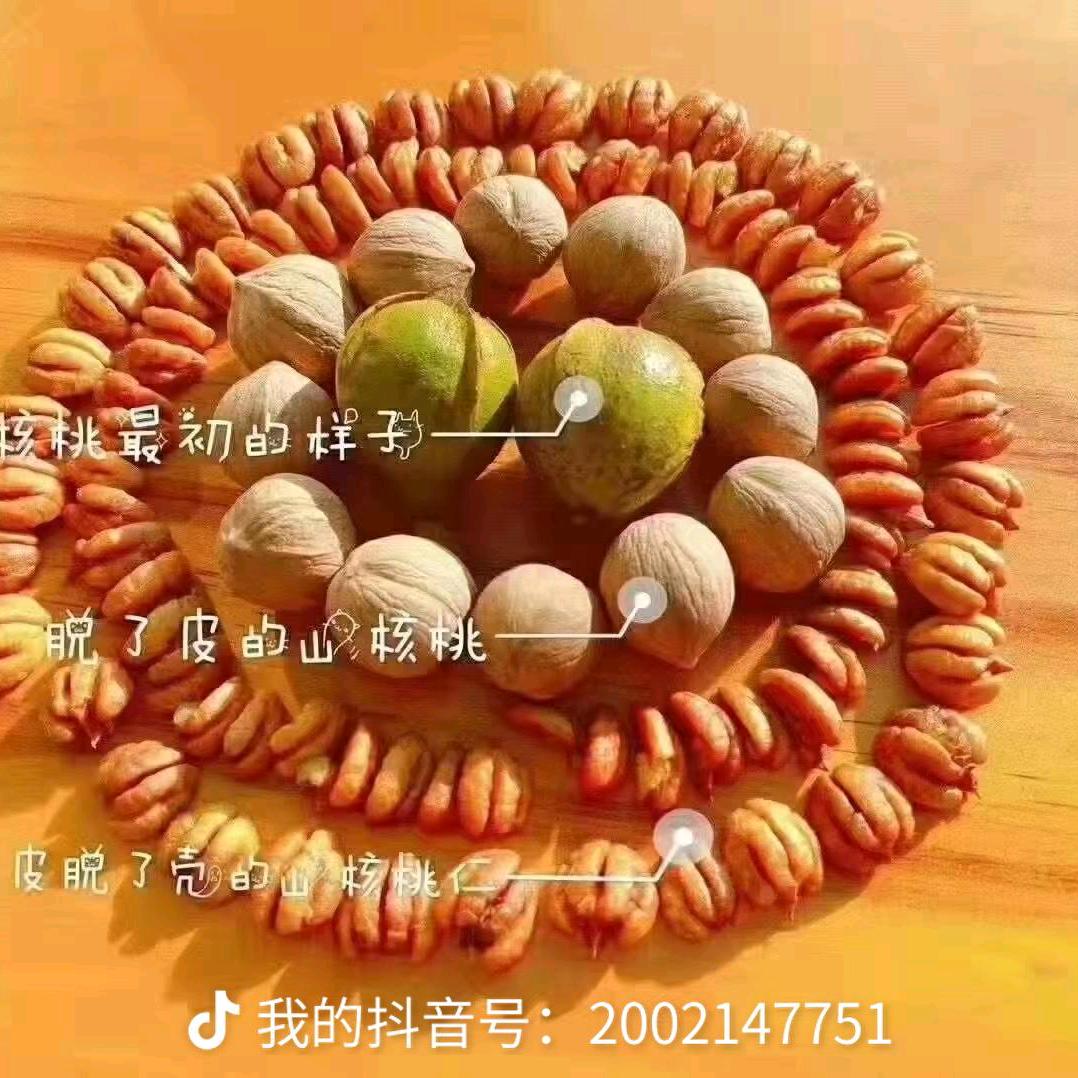 浙西玲玲