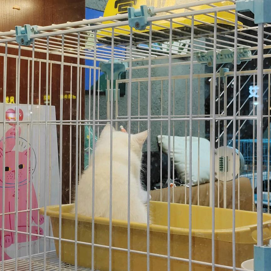 依婉宝藏屋¹⁶⁸