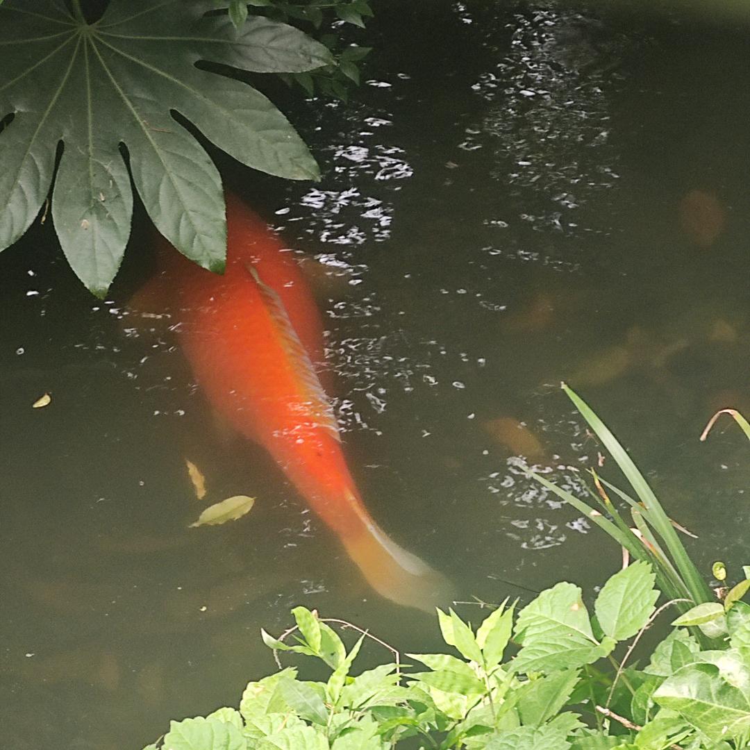 人间哪得几回闻