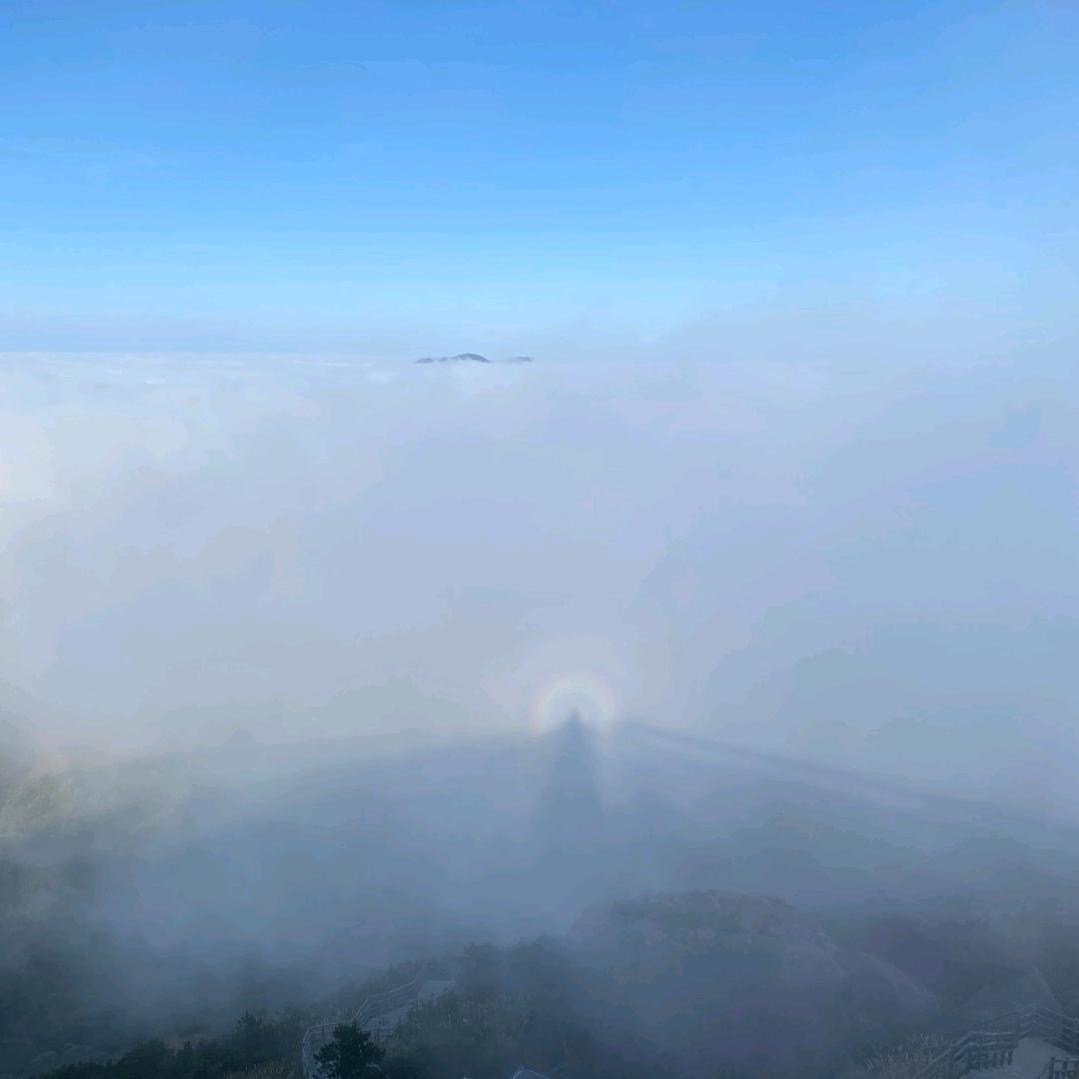 陶溪溯瓷器精选店