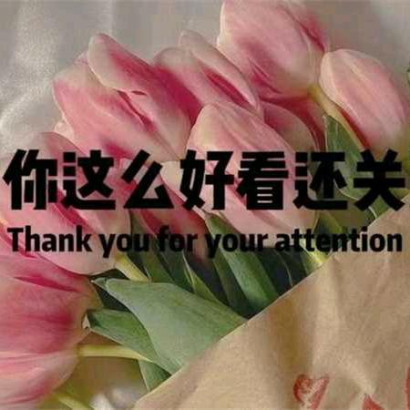 段恒礼好物优选