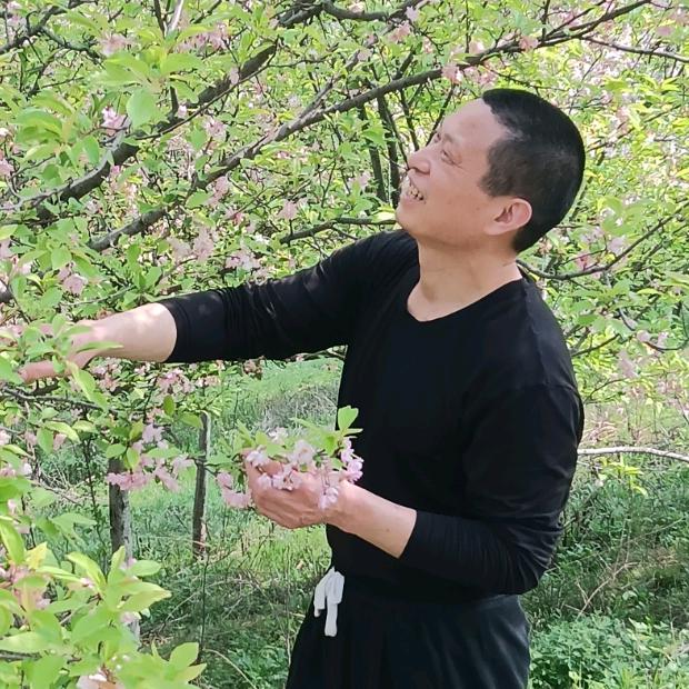 我是笨兔（何63.04）往事随风