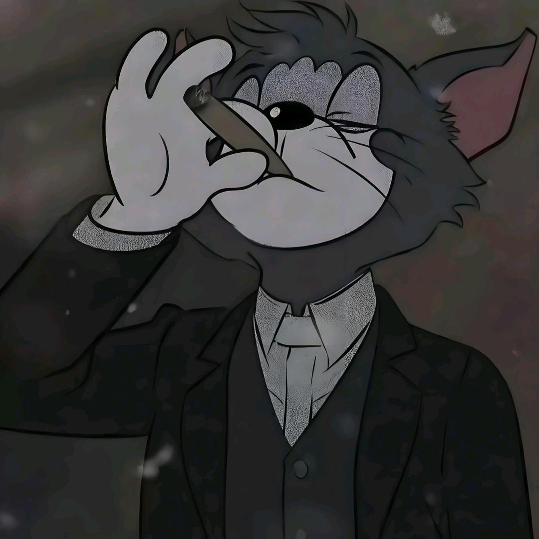 老猫Zzz（命运方舟）