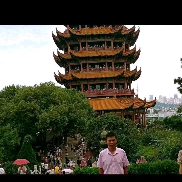 中国人1号麦
