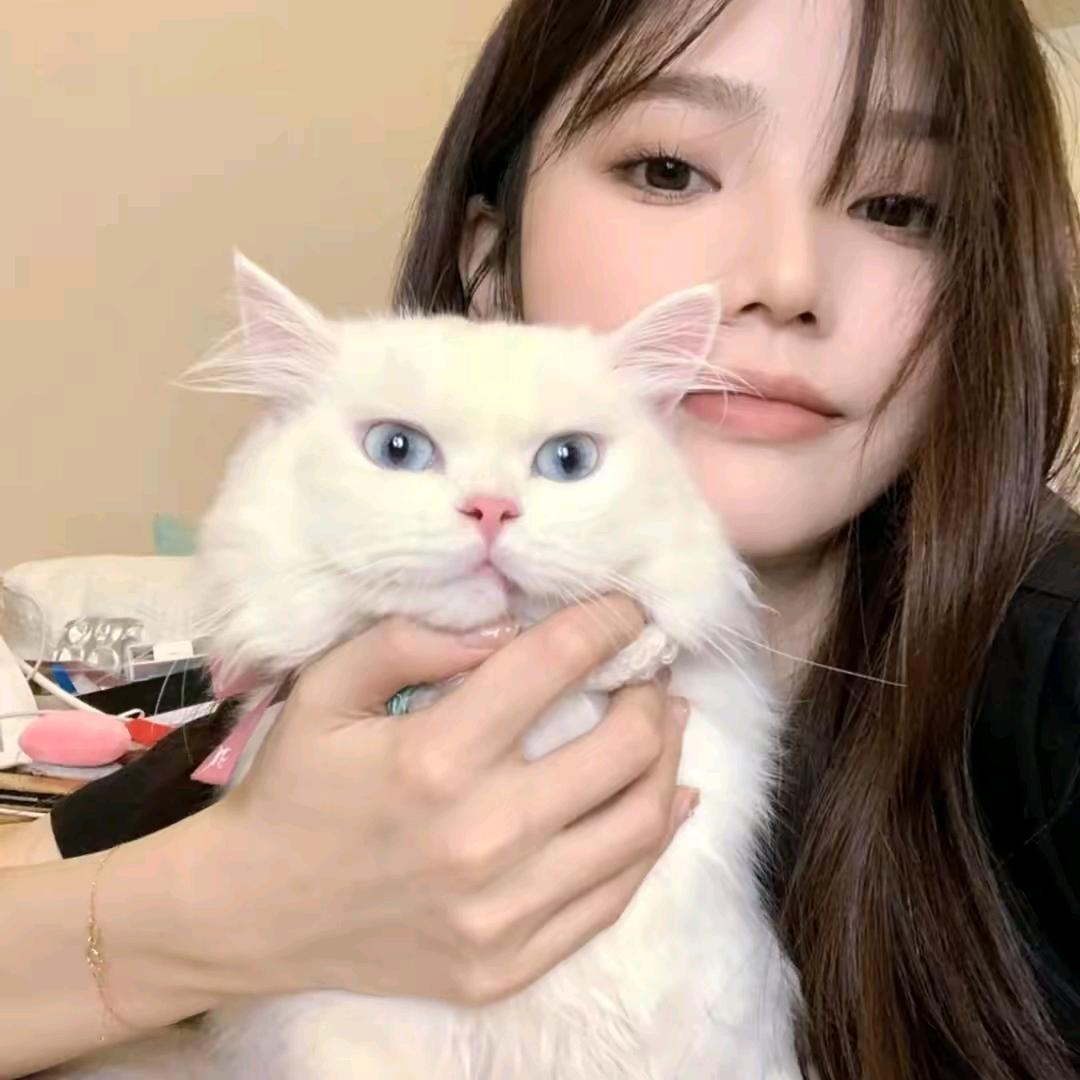 小苏有点甜🍬