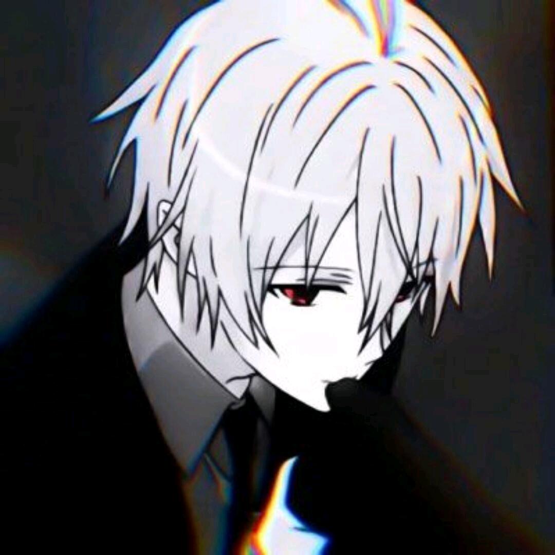 zzz崽