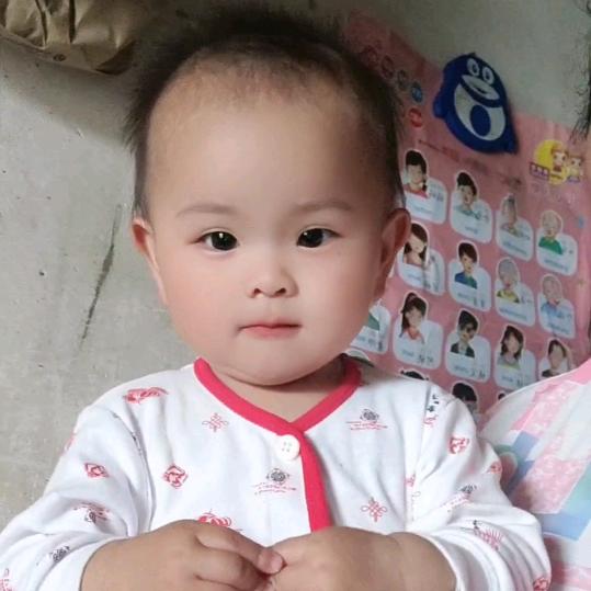 这是我家兔宝宝