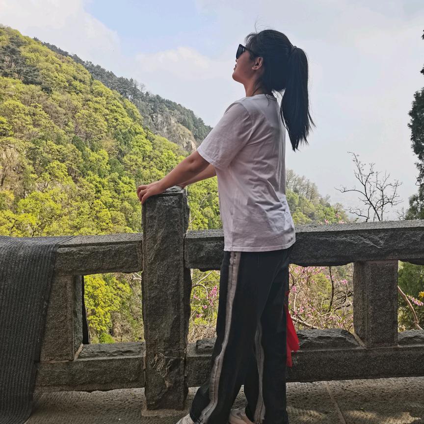 🌈🌈🌈初学者