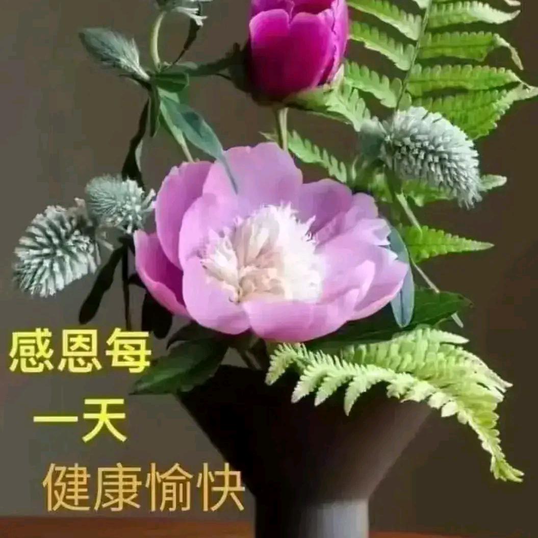 感恩遇见您👑️👑️👑️