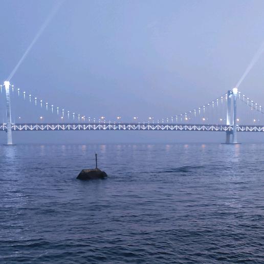 优质高产玉米种子001