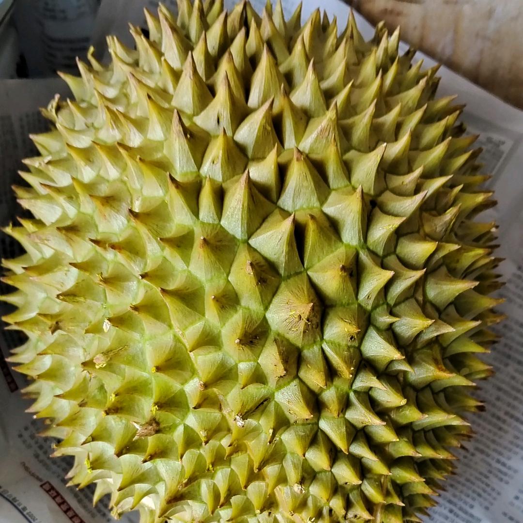 美花花