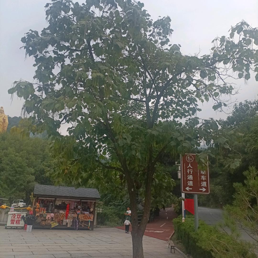 用户9179307566304