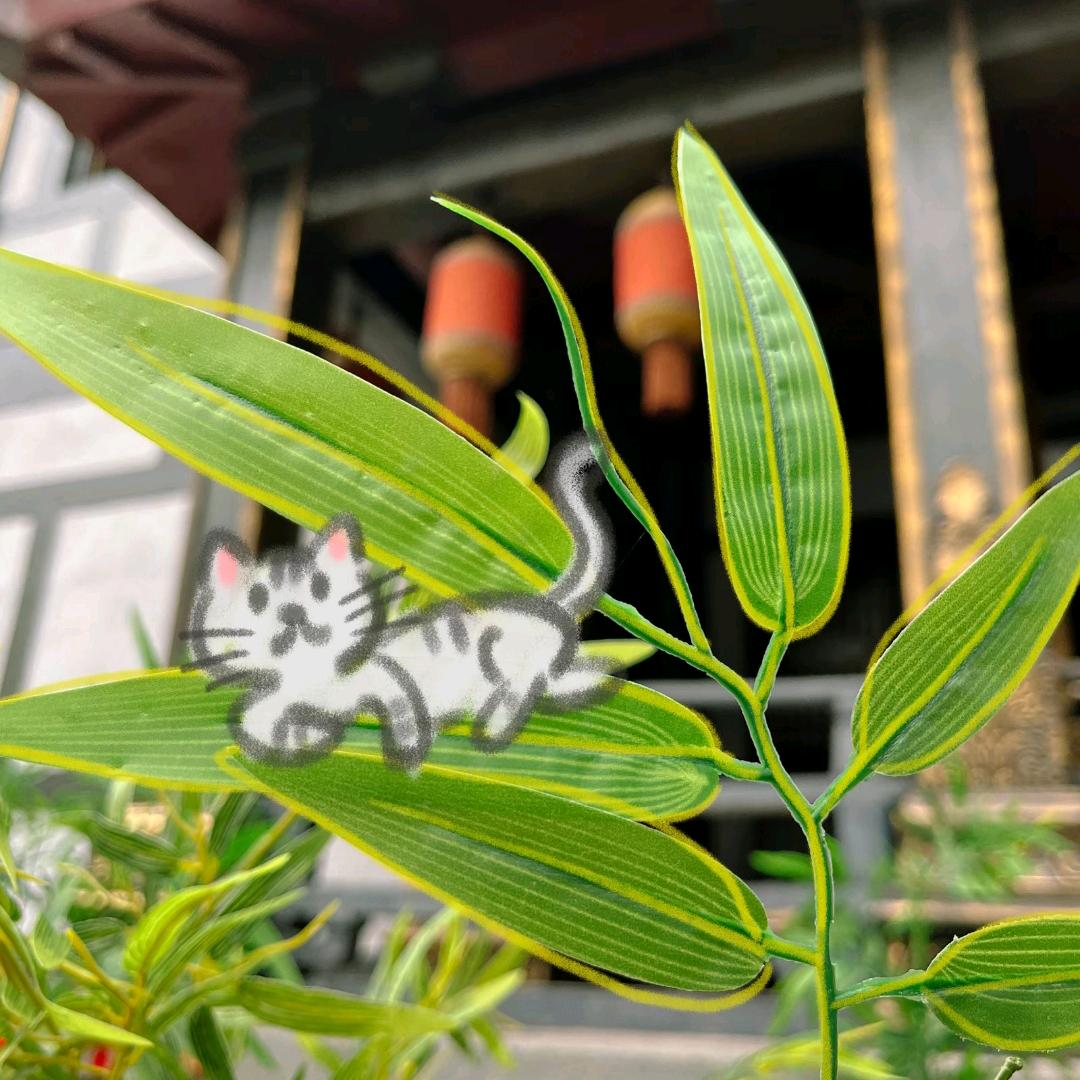 小书包