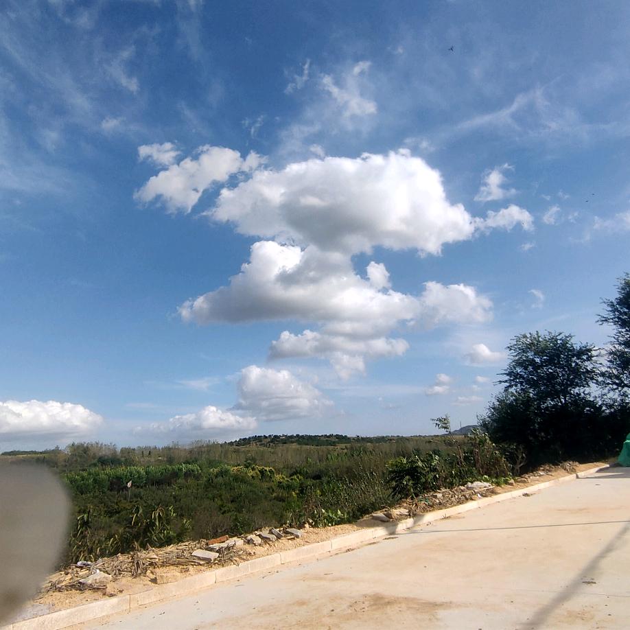 难得糊涂开心虎