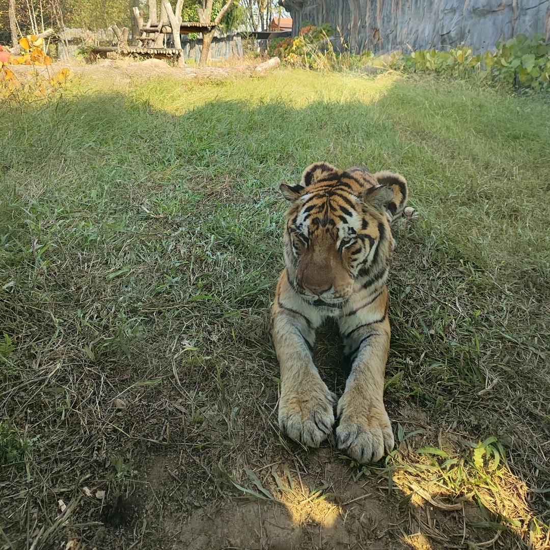 永盛家具家电回收与销售