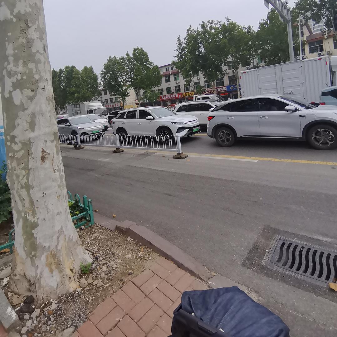 🌸开💰贵来财来财