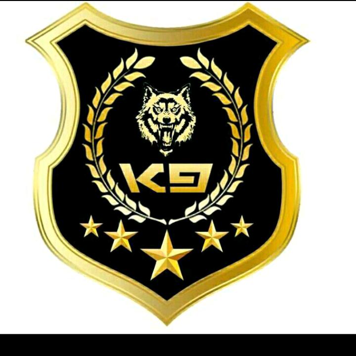 我是一匹战斗的狼