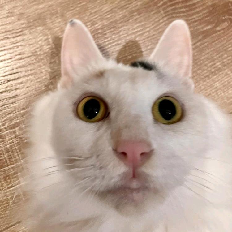 Jan