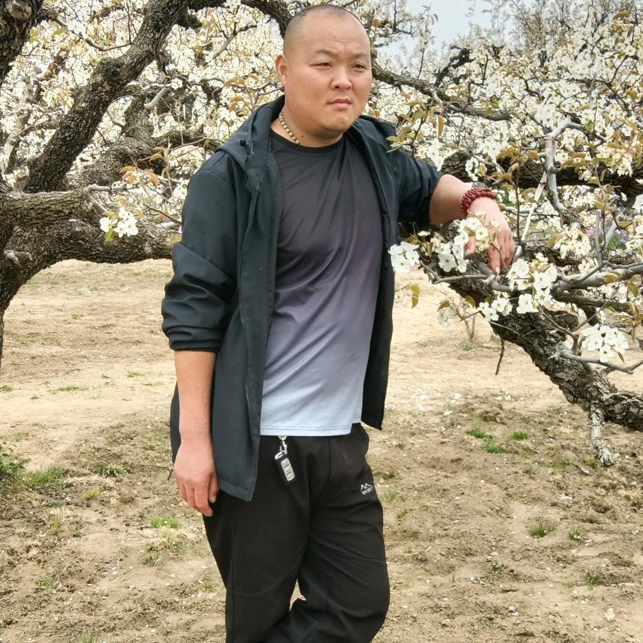 江苏✔丰县【丁氏】