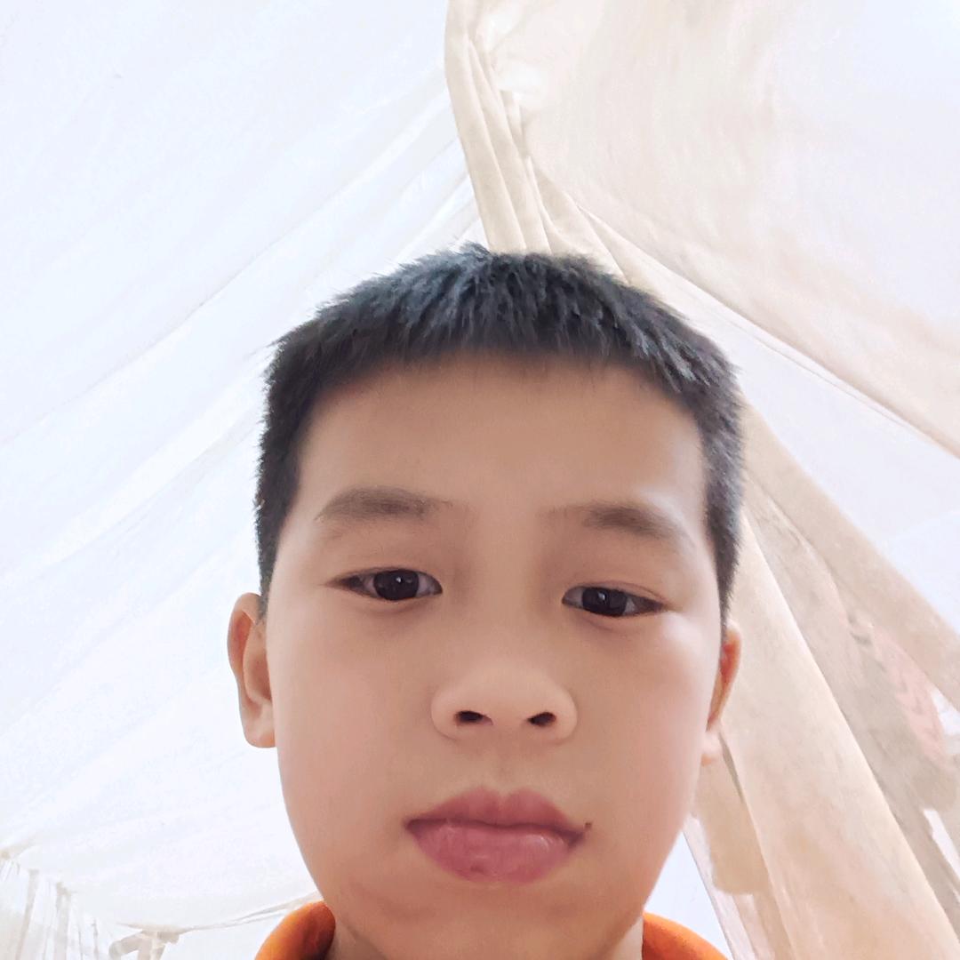 特力