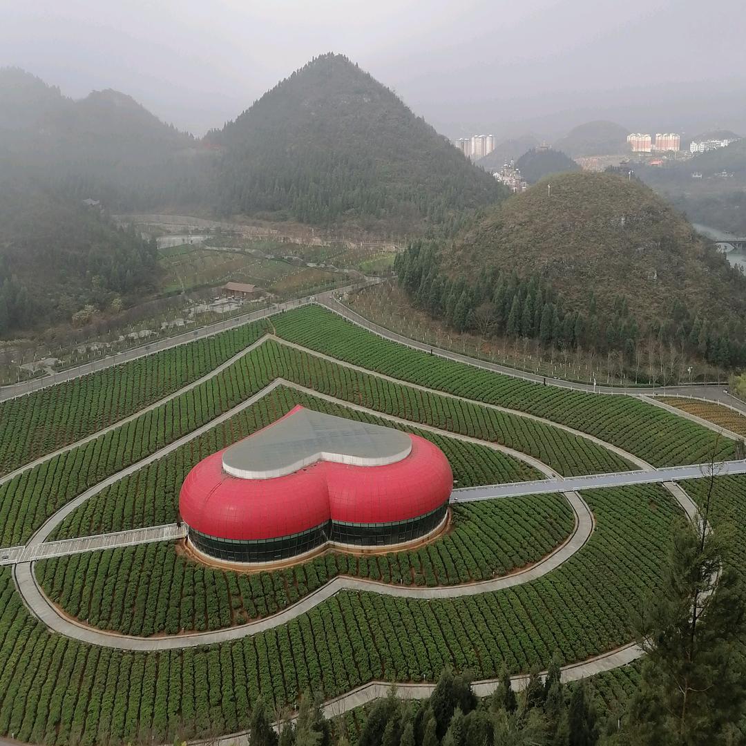 🌸(❁´◡`❁静待＆花开)*✲ﾟ*