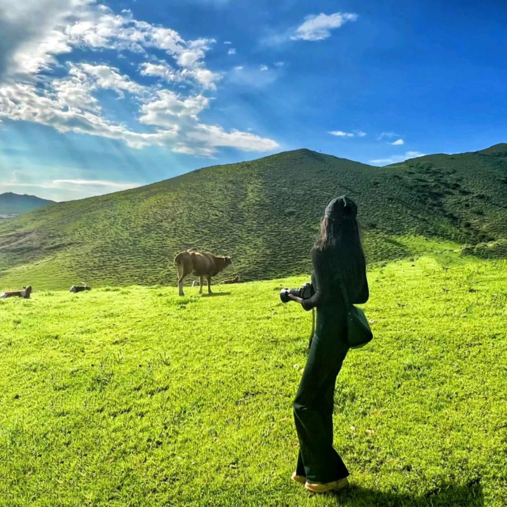 许气扬扬(拒绝连赞)