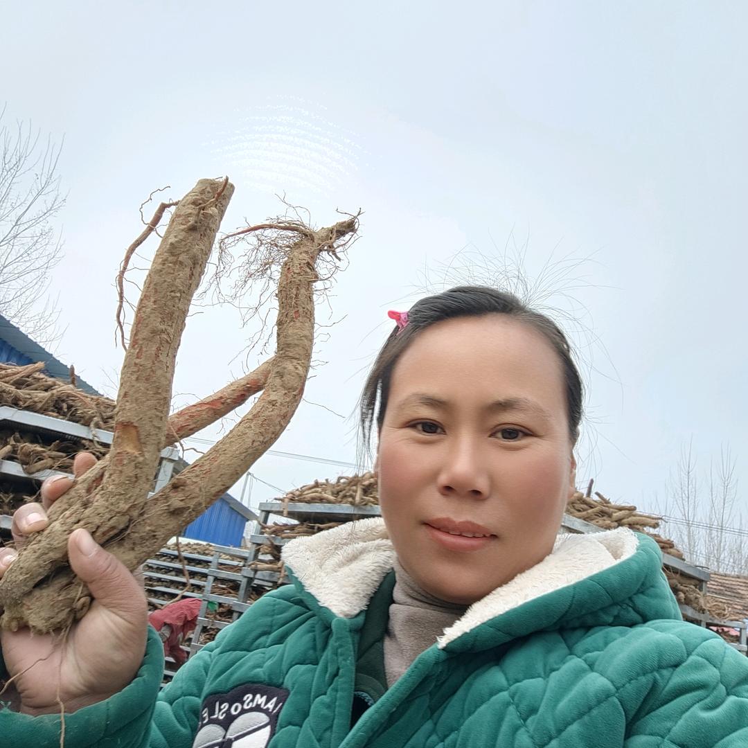 商丘一航中药材种植专业合作社（焦莹卉）