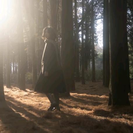 不吃考研（香菜版）