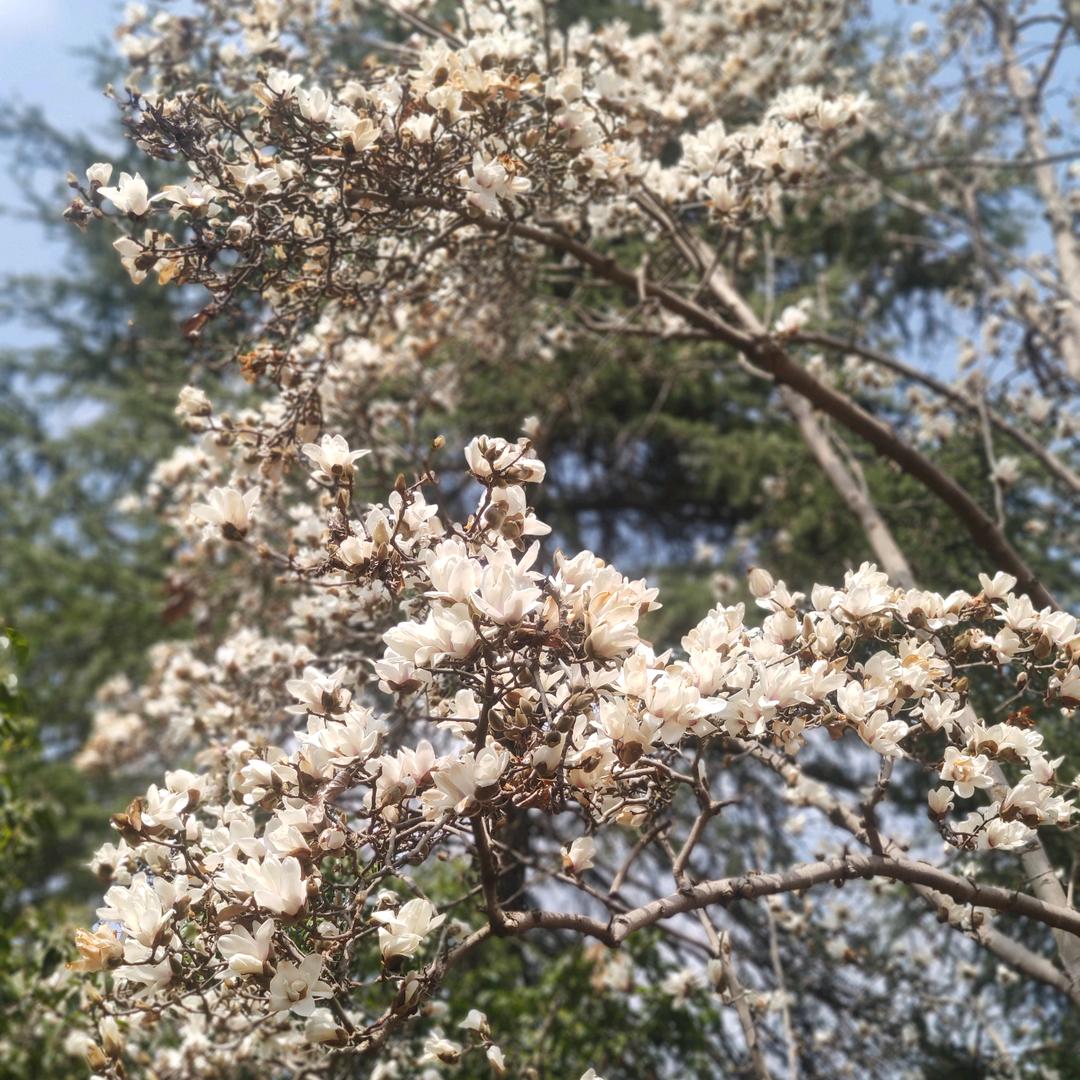 纵横随车吊